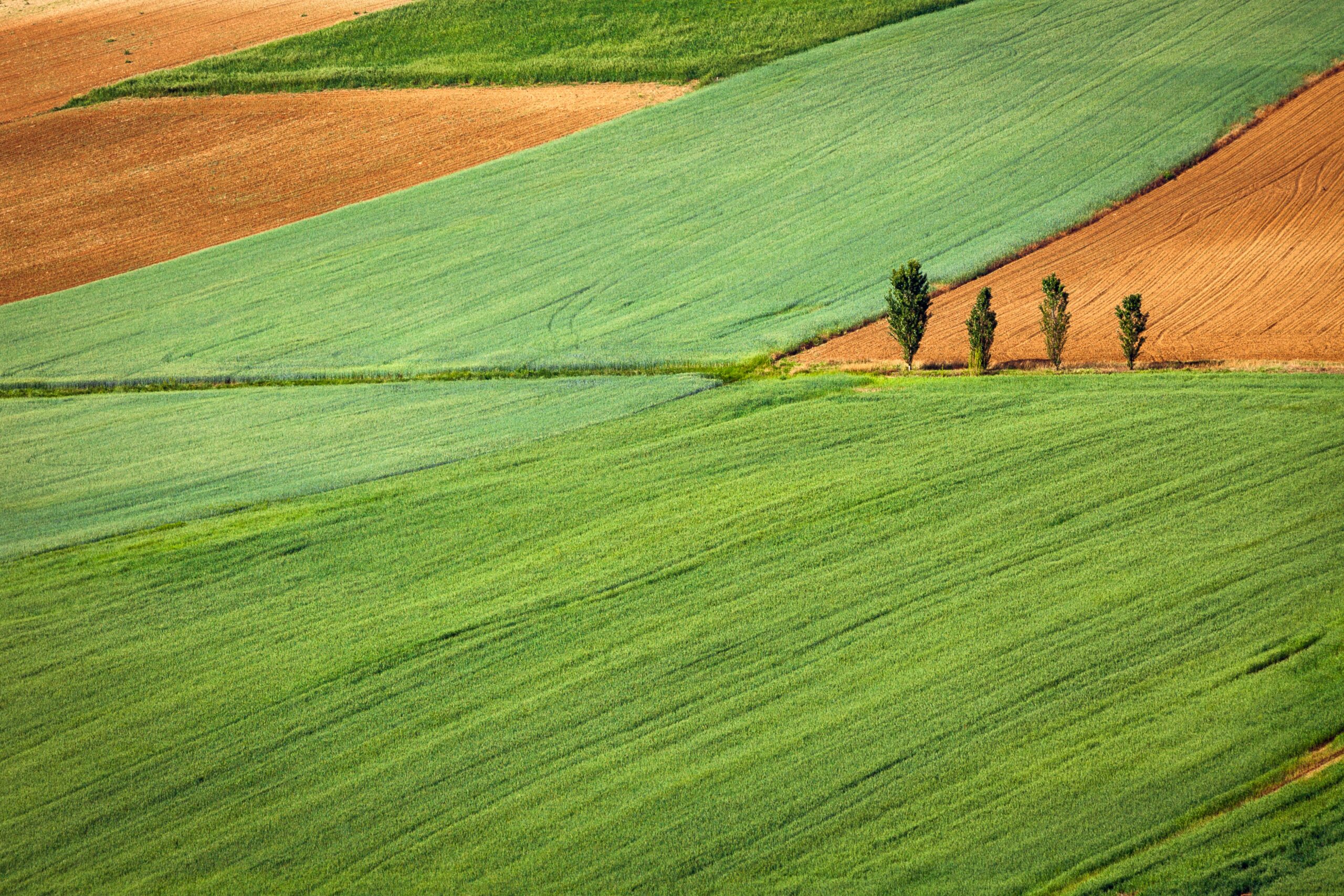 Agrarpolitischer Stammtisch - Bundestagswahl 2024: Wie geht’s weiter mit der Landwirtschaft?