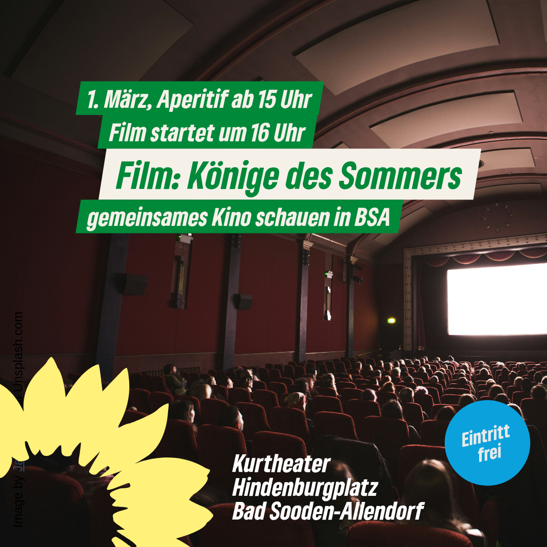 gemeinsames Kino schauen - Könige des Sommers